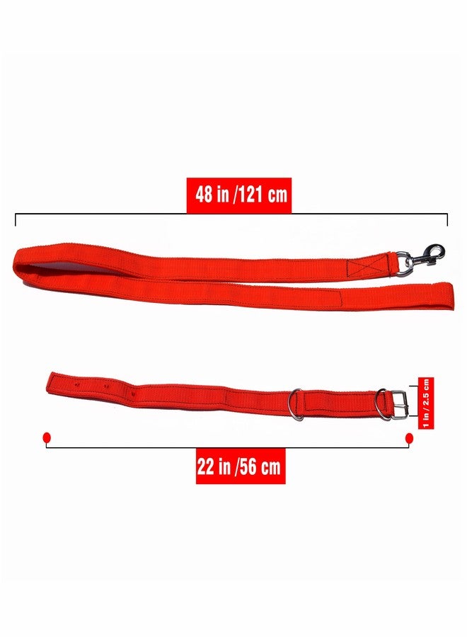 بيور سورس انديا طقم طوق رقبة وحزام ومقود من النايلون المقاوم للماء من بيور سورس إنديا للكلاب متوسطة الحجم أو الجراء الصغيرة (48 × 1 بوصة) (أحمر) - Image 3